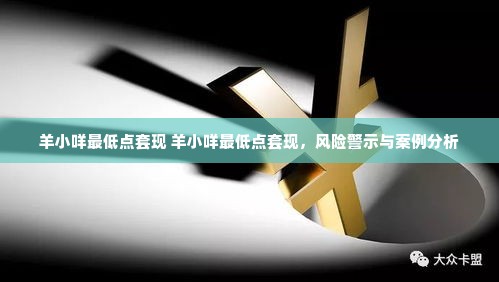 羊小咩最低点套现 羊小咩最低点套现，风险警示与案例分析