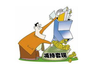 羊小咩最低点套现 羊小咩最低点套现，风险警示与案例分析