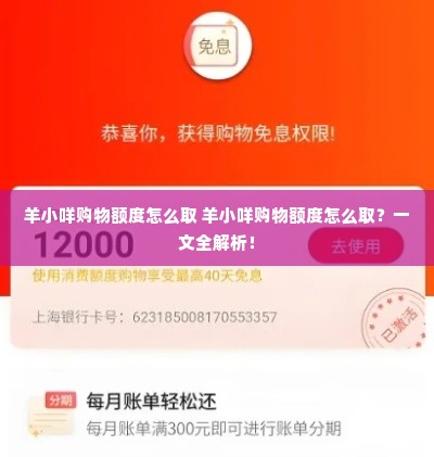 羊小咩购物额度怎么取 羊小咩购物额度怎么取？一文全解析！
