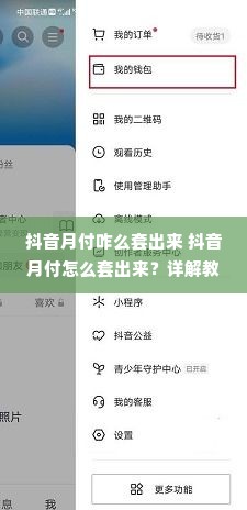 抖音月付咋么套出来 抖音月付怎么套出来？详解教程与案例分享