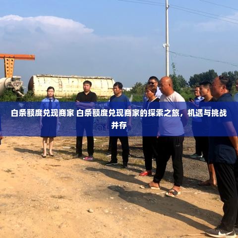 白条额度兑现商家 白条额度兑现商家的探索之旅，机遇与挑战并存