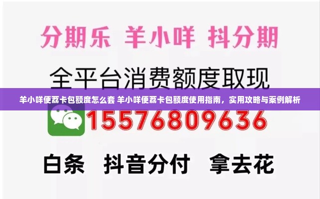 羊小咩便荔卡包额度怎么套 羊小咩便荔卡包额度使用指南，实用攻略与案例解析