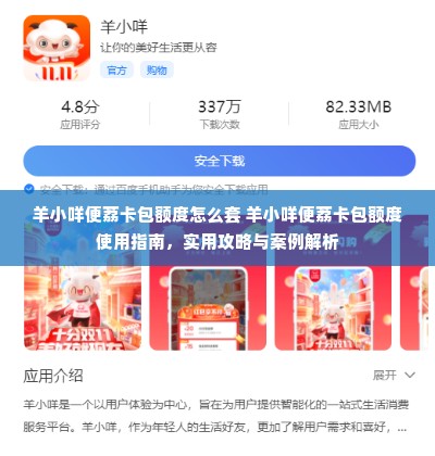 羊小咩便荔卡包额度怎么套 羊小咩便荔卡包额度使用指南，实用攻略与案例解析