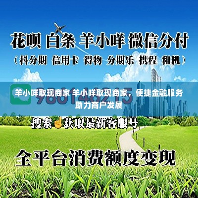 羊小咩取现商家 羊小咩取现商家，便捷金融服务助力商户发展