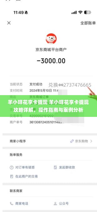 羊小咩花享卡提现 羊小咩花享卡提现攻略详解，操作指南与案例分析