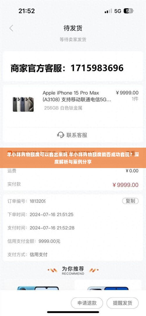 羊小咩购物额度可以套出来吗 羊小咩购物额度能否成功套现？深度解析与案例分享