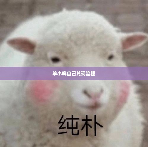 羊小咩最新自己兑现方法 羊小咩最新自己兑现方法