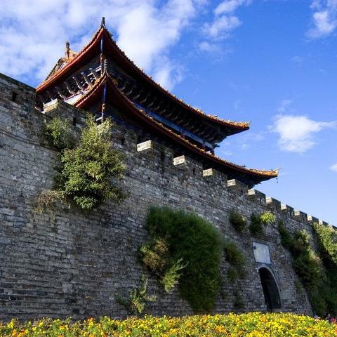 羊小咩享花卡商家兑现秒到 羊小咩享花卡商家兑现秒到——解锁现代消费新体验