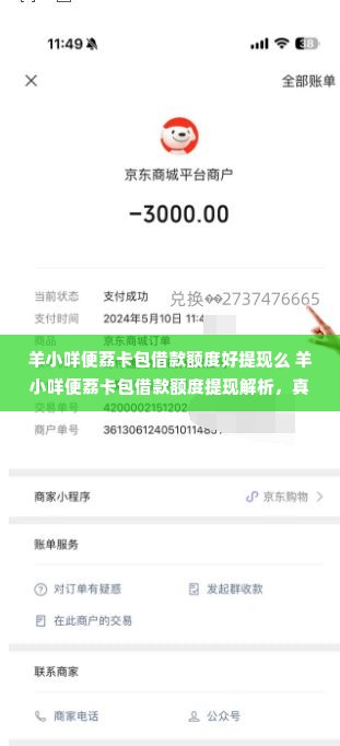 羊小咩便荔卡包借款额度好提现么 羊小咩便荔卡包借款额度提现解析，真实体验与案例分享