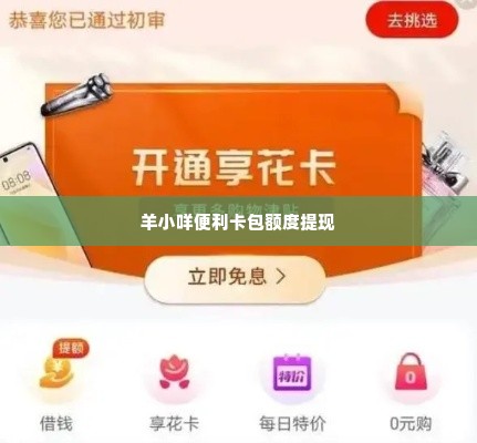 羊小咩便利卡包额度可以提现吗 羊小咩便利卡包额度能否提现？一文带你了解