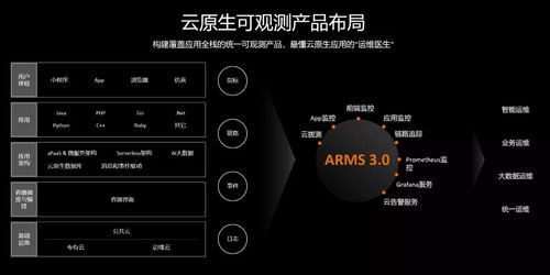 创新智能科技羊小咩兑现秒到回款指南 智能科技引领羊小咩兑现秒到回款新纪元