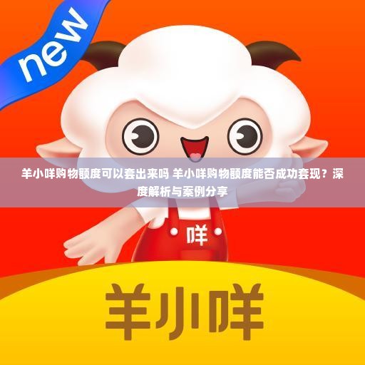 羊小咩购物额度可以套出来吗 羊小咩购物额度能否成功套现？深度解析与案例分享