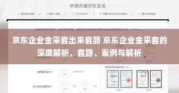 京东企业金采套出来套路 京东企业金采套的深度解析，套路、案例与解析