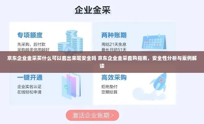 京东企业金采买什么可以套出来呢安全吗 京东企业金采套购指南，安全性分析与案例解读