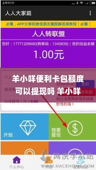 羊小咩便利卡包额度可以提现吗 羊小咩便利卡包额度能否提现？一篇文章带你全面了解