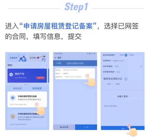 羊小咩便荔卡包额度怎么套 羊小咩便荔卡包额度使用指南，实用攻略与案例解析