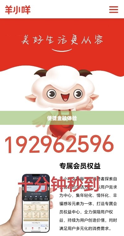 羊小咩额度取现 羊小咩额度取现，便捷金融的现代体验