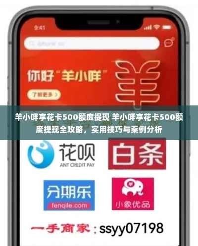 羊小咩享花卡500额度提现 羊小咩享花卡500额度提现全攻略，实用技巧与案例分析