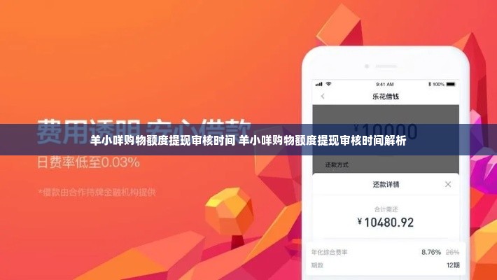 羊小咩购物额度提现审核时间 羊小咩购物额度提现审核时间解析