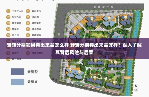 转转分期如果套出来会怎么样 转转分期套出来会咋样？深入了解其背后风险与后果