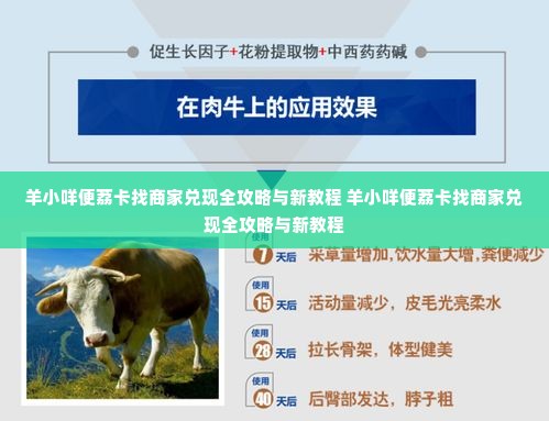 羊小咩便荔卡找商家兑现全攻略与新教程 羊小咩便荔卡找商家兑现全攻略与新教程