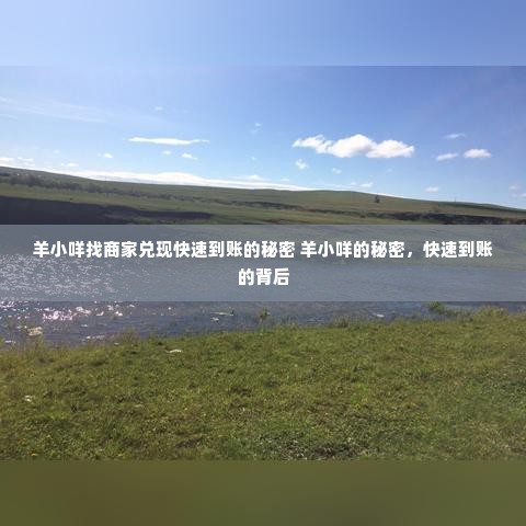 羊小咩找商家兑现快速到账的秘密 羊小咩的秘密，快速到账的背后