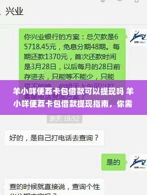 羊小咩便荔卡包借款可以提现吗 羊小咩便荔卡包借款提现指南，你需要注意的事项