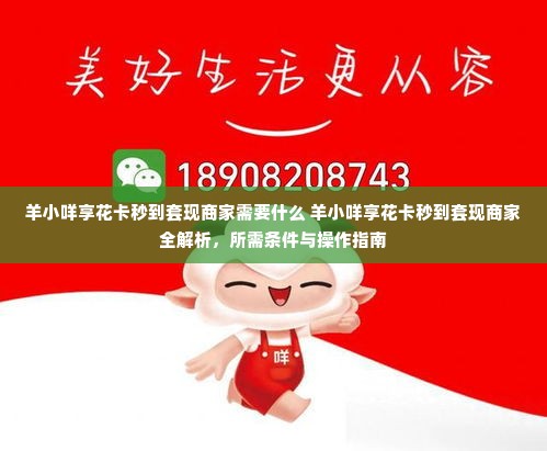 羊小咩享花卡秒到套现商家需要什么 羊小咩享花卡秒到套现商家全解析，所需条件与操作指南