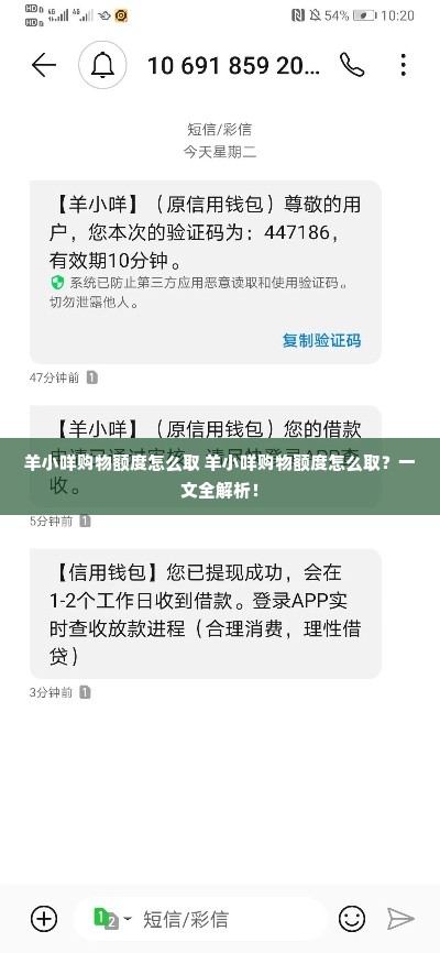 羊小咩购物额度怎么取 羊小咩购物额度怎么取？一文全解析！