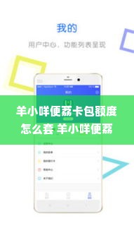 羊小咩便荔卡包额度怎么套 羊小咩便荔卡包额度使用指南，实用攻略与案例解析