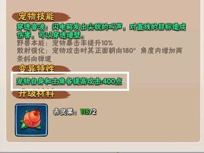 转转分期专业套出来 转转分期，如何专业套出实惠？