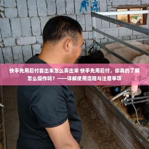 快手先用后付套出来怎么弄出来 快手先用后付，你真的了解怎么操作吗？——详解使用流程与注意事项