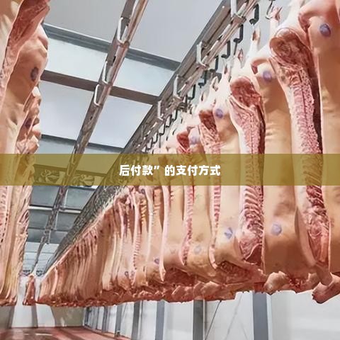 京东白条怎么使用兑现方法 探索京东白条的灵活使用方式