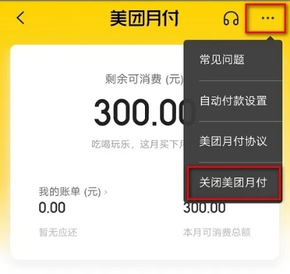 美团月付5000套出来多少 美团月付5000，我能套出多少？详解其中的经济逻辑与实际操作