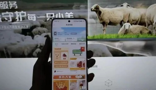 羊小咩便荔卡额度怎么提现 羊小咩便荔卡额度怎么提现？轻松操作指南+案例解析