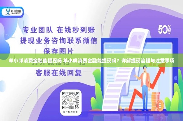 羊小咩消费金融能提现吗 羊小咩消费金融能提现吗？详解提现流程与注意事项