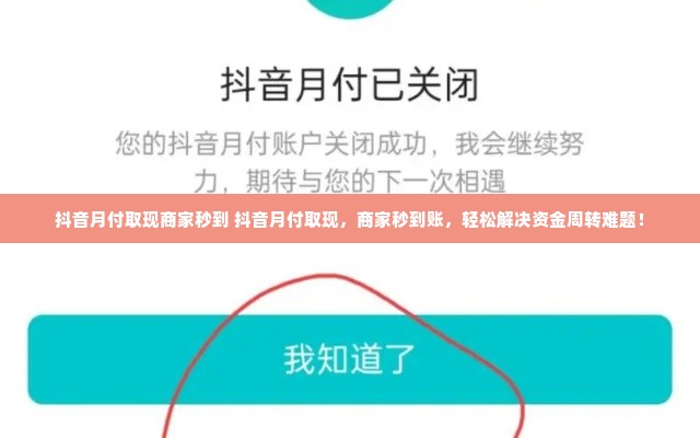 抖音月付取现商家秒到 抖音月付取现，商家秒到账，轻松解决资金周转难题！