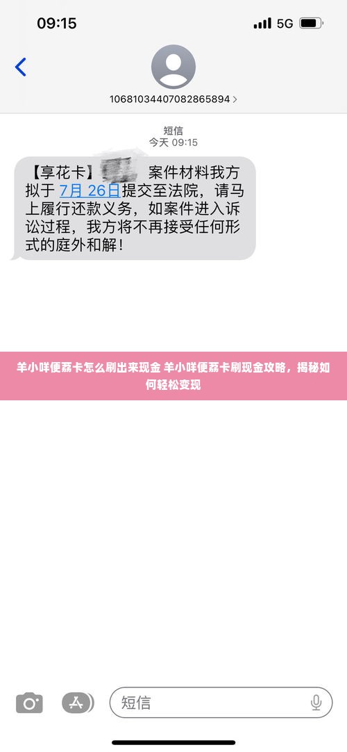 羊小咩便荔卡怎么刷出来现金 羊小咩便荔卡刷现金攻略，揭秘如何轻松变现