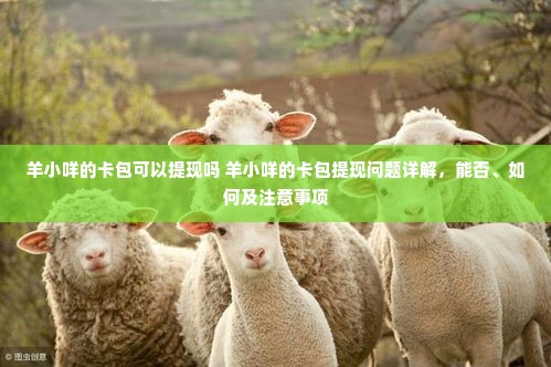 羊小咩的卡包可以提现吗 羊小咩的卡包提现问题详解，能否、如何及注意事项