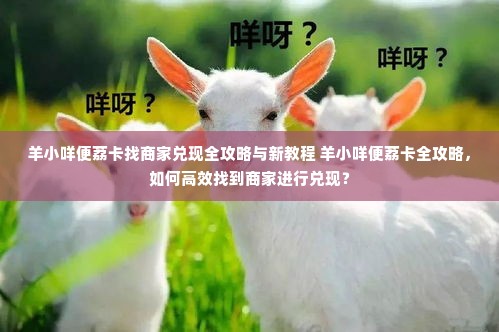 羊小咩便荔卡找商家兑现全攻略与新教程 羊小咩便荔卡全攻略，如何高效找到商家进行兑现？