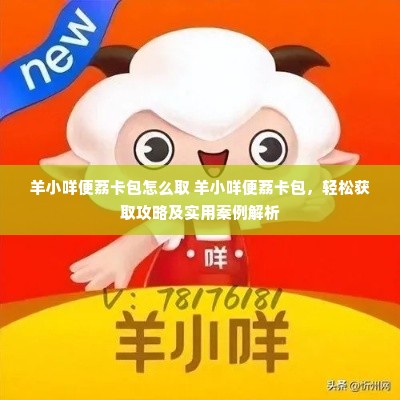 羊小咩便荔卡包怎么取 羊小咩便荔卡包，轻松获取攻略及实用案例解析