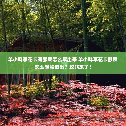羊小咩享花卡有额度怎么取出来 羊小咩享花卡额度怎么轻松取出？攻略来了！