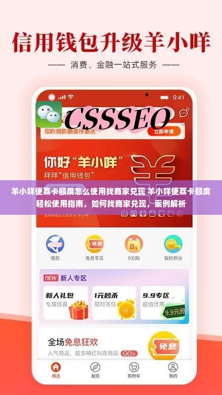 羊小咩便荔卡额度怎么使用找商家兑现 羊小咩便荔卡额度轻松使用指南，如何找商家兑现，案例解析