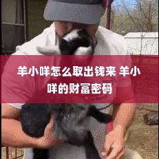 羊小咩怎么取出钱来 羊小咩的财富密码