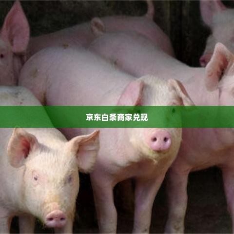 京东白条商家兑现秒到 京东白条商家兑现秒到，揭秘背后的高效服务