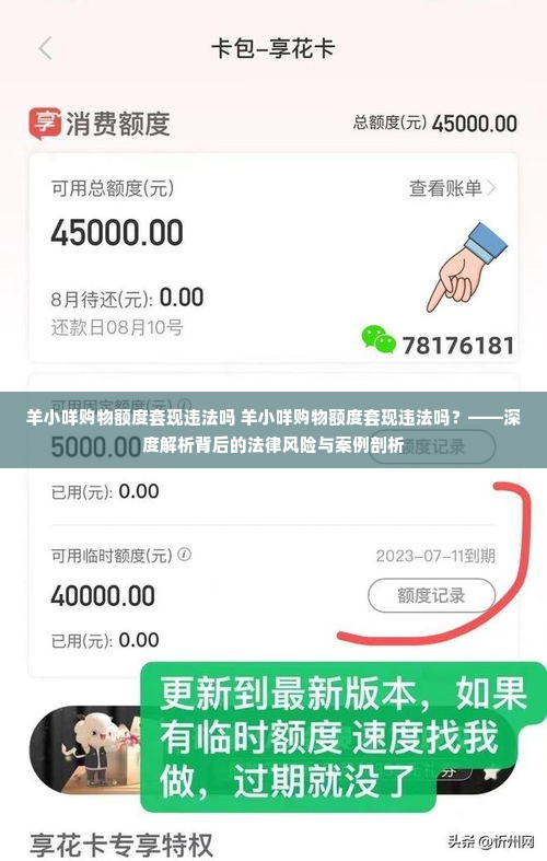 羊小咩购物额度套现违法吗 羊小咩购物额度套现违法吗？——深度解析背后的法律风险与案例剖析