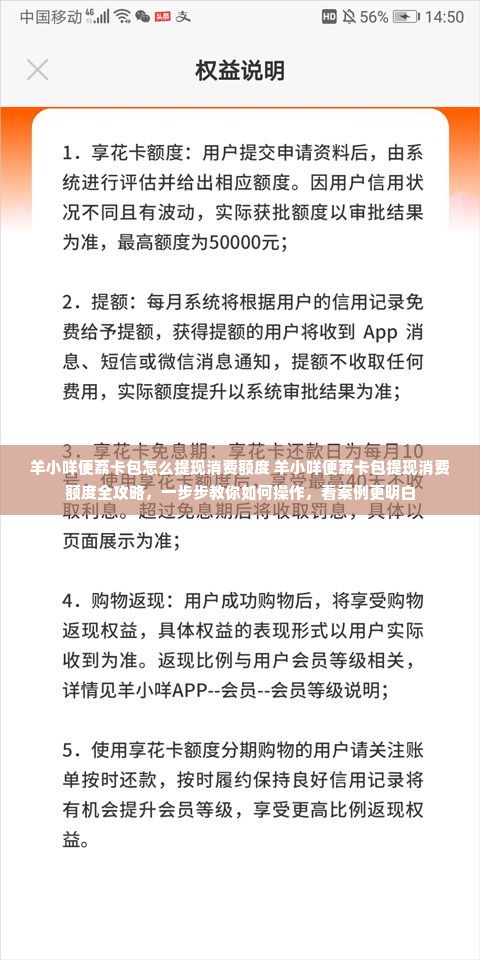 羊小咩便荔卡包怎么提现消费额度 羊小咩便荔卡包提现消费额度全攻略，一步步教你如何操作，看案例更明白