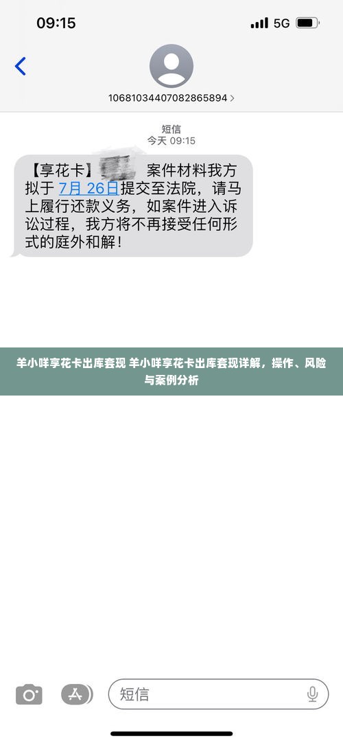 羊小咩享花卡出库套现 羊小咩享花卡出库套现详解，操作、风险与案例分析