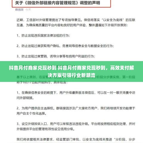 抖音月付商家兑现秒到 抖音月付商家兑现秒到，高效支付解决方案引领行业新潮流