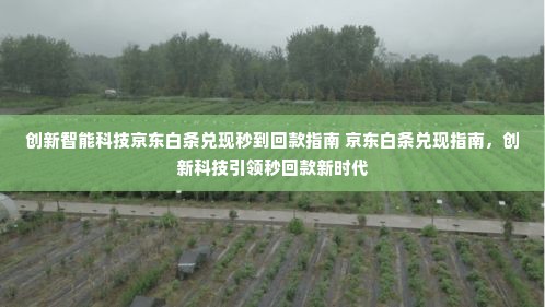 创新智能科技京东白条兑现秒到回款指南 京东白条兑现指南，创新科技引领秒回款新时代